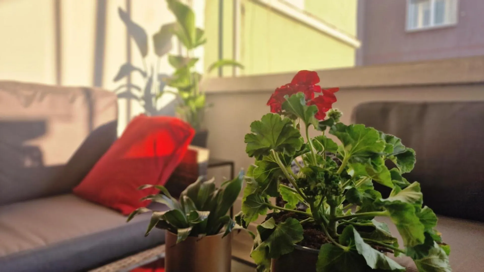 Apartmán La Casa Di Tom - Homy Milano
